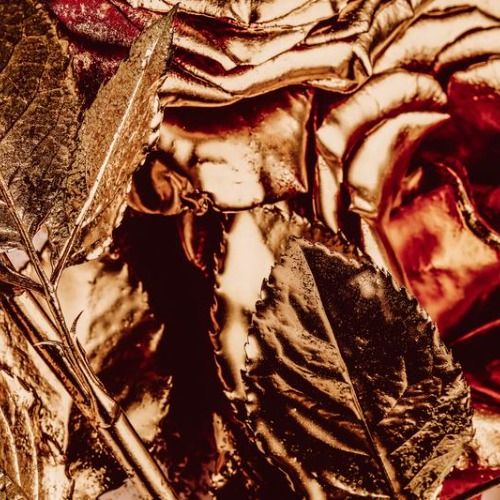 Buy EDM Ghost Production track - Wilderness