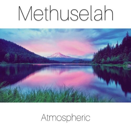 Buy EDM Ghost Production track - Methuselah