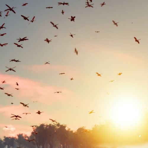 Buy EDM Ghost Production track - Vienna