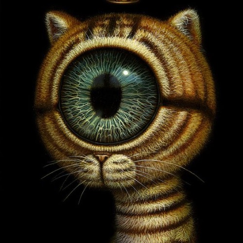 Buy EDM Ghost Production track - Girl