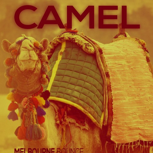Buy EDM Ghost Production track - Camel