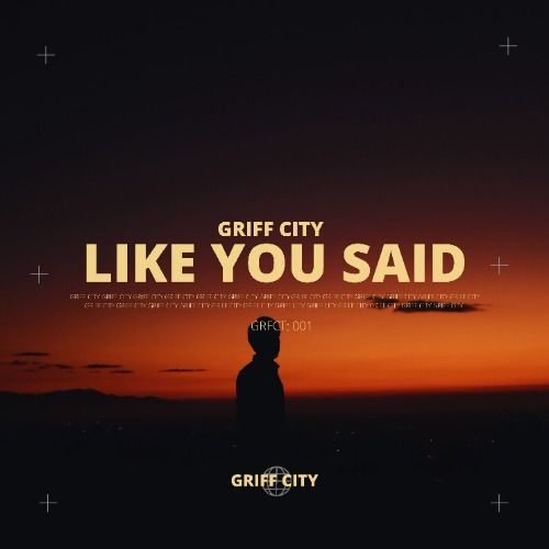 Buy EDM Ghost Production track - Like You Said