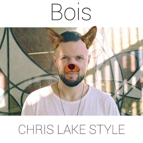 Buy EDM Ghost Production track - Bois