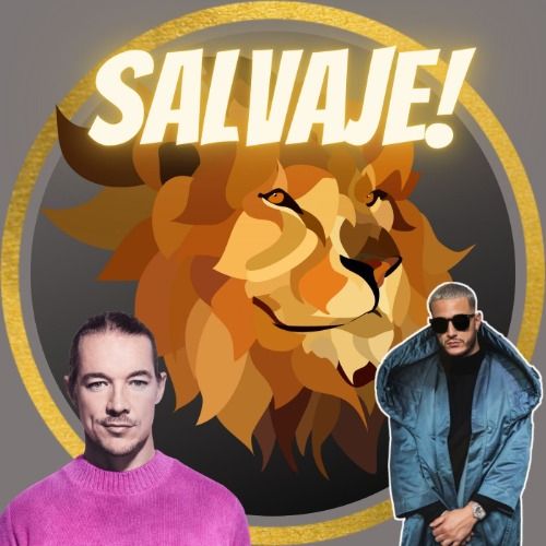 Buy EDM Ghost Production track - Salvaje