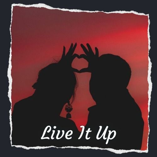 Buy EDM Ghost Production track - Live It Up