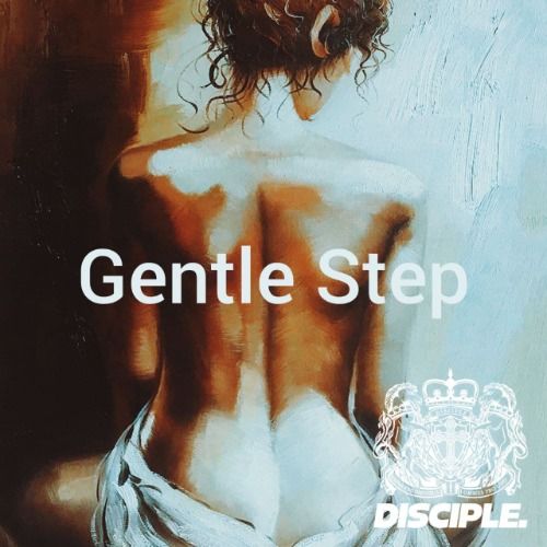 Buy EDM Ghost Production track - Gentle Step