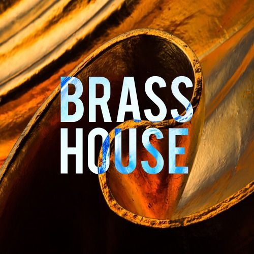 Buy EDM Ghost Production track - Brass House