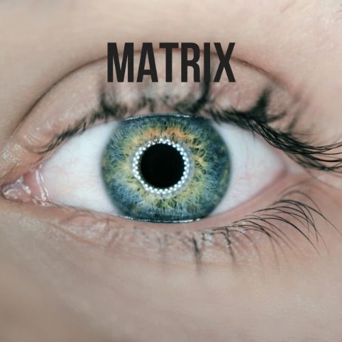 Buy EDM Ghost Production track - Matrix