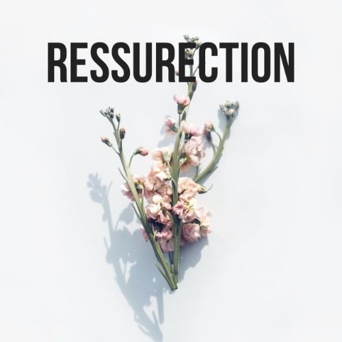 Buy EDM Ghost Production track - Ressurection