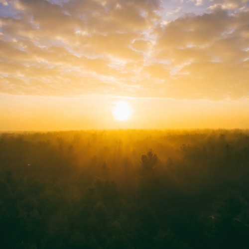 Buy EDM Ghost Production track - Voices