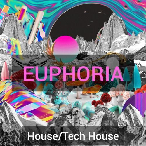 Buy EDM Ghost Production track - Euphoria