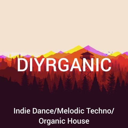 Buy EDM Ghost Production track - Diyrganic