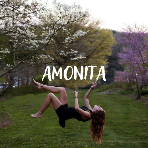 Buy EDM Ghost Production track - Amonita