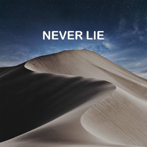 Buy EDM Ghost Production track - Never Lie