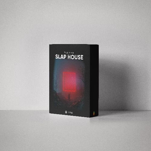 Buy EDM Ghost Production track - Loose My Mind