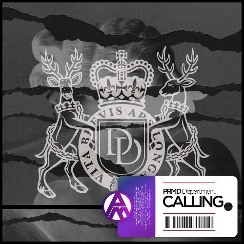 Buy EDM Ghost Production track - Calling