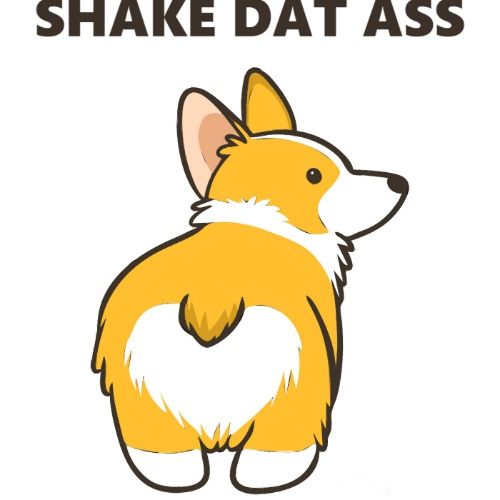 Buy EDM Ghost Production track - Shake