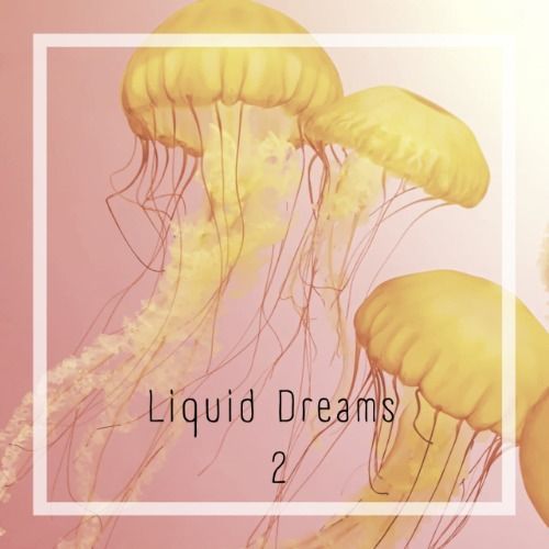 Buy EDM Ghost Production track - Liquid Dreams 2