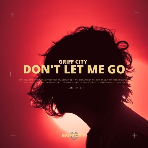 Buy EDM Ghost Production track - Don't Let Me Go