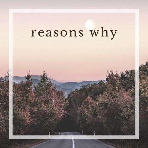 Buy EDM Ghost Production track - Reasons Why