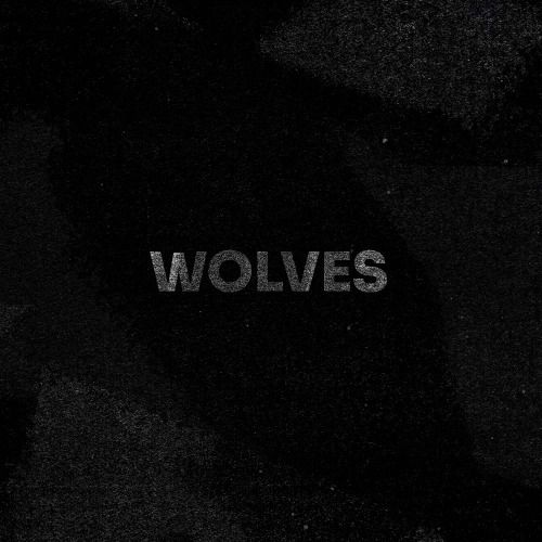 Buy EDM Ghost Production track - Wolves