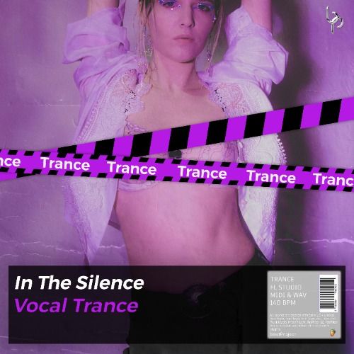 Buy EDM Ghost Production track - In The Silence