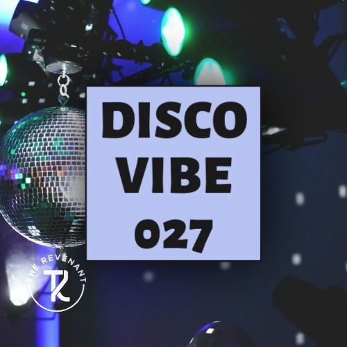 Buy EDM Ghost Production track - Disco Vibe 027