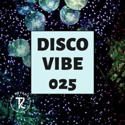 Buy EDM Ghost Production track - Disco Vibe 025
