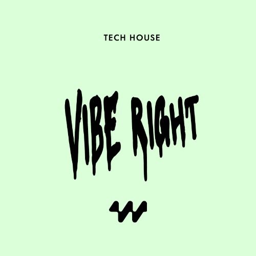 Buy EDM Ghost Production track - Vibe Right