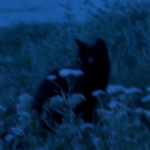 Buy EDM Ghost Production track - Dreamscape Ambient XXI