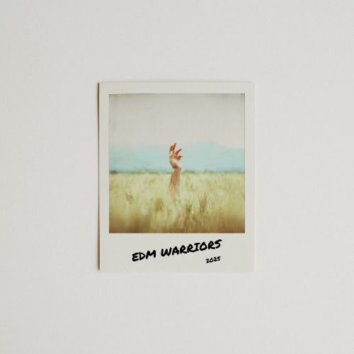 Buy EDM Ghost Production track - Promises