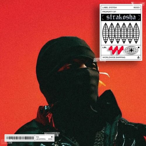 Buy EDM Ghost Production track - Poputnie Sounds