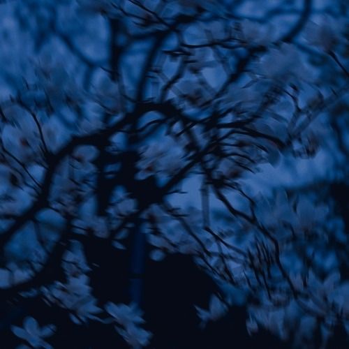 Buy EDM Ghost Production track - Dreamscape Ambient 22