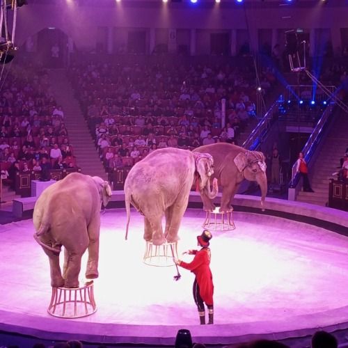 Buy EDM Ghost Production track - Danceteria