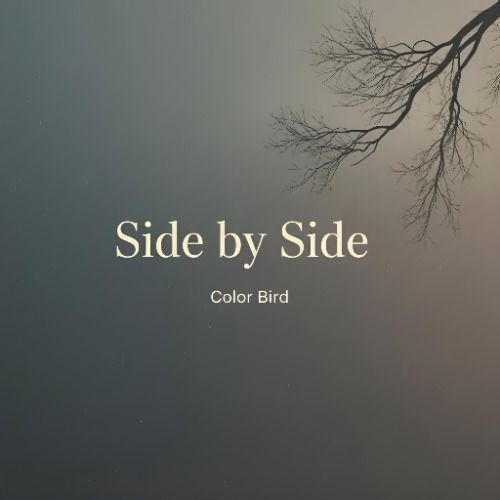 Buy EDM Ghost Production track - Side By Side