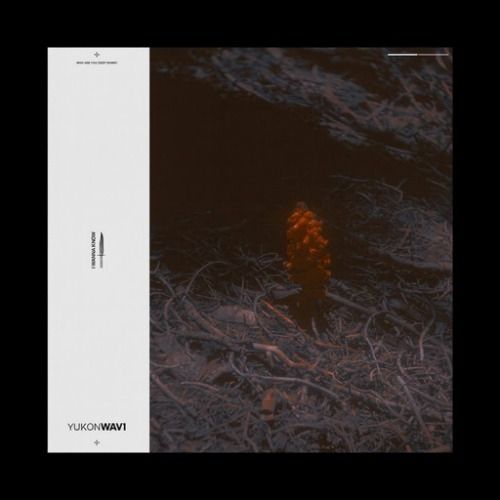 Buy EDM Ghost Production track - Where Did U Go