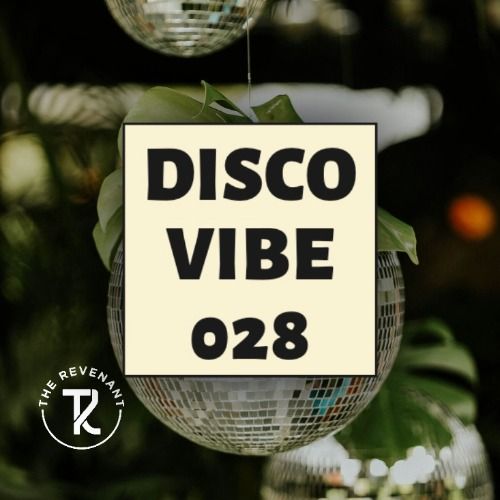 Buy EDM Ghost Production track - Disco Vibe 028