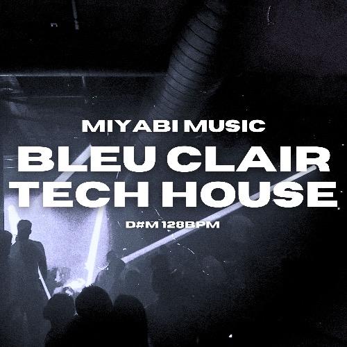 Buy EDM Ghost Production track - Body Go