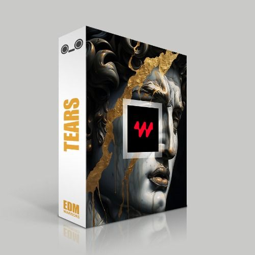 Buy EDM Ghost Production track - Tears