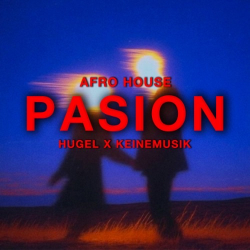 Buy EDM Ghost Production track - Pasion