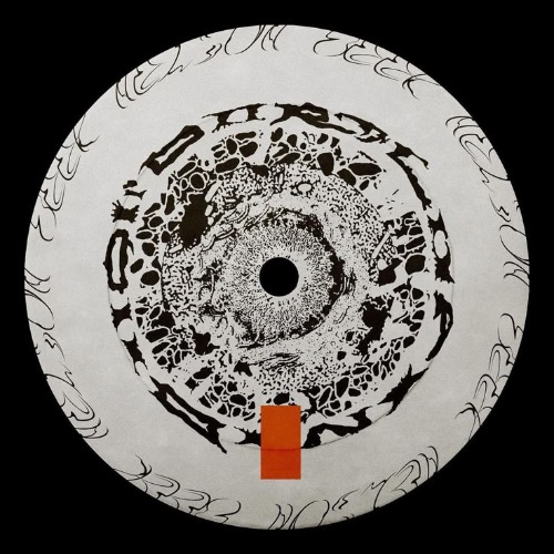 Buy EDM Ghost Production track - Need It