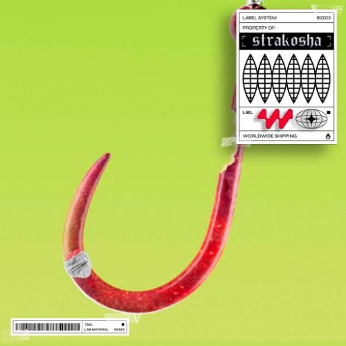 Buy EDM Ghost Production track - Catch & Minimal