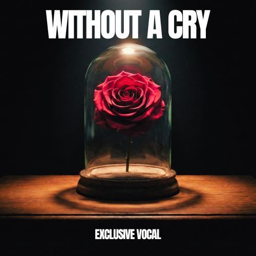 Buy EDM Ghost Production track - Without A Cry