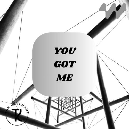 Buy EDM Ghost Production track - You Got Me