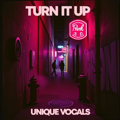 Buy EDM Ghost Production track - Turn It Up