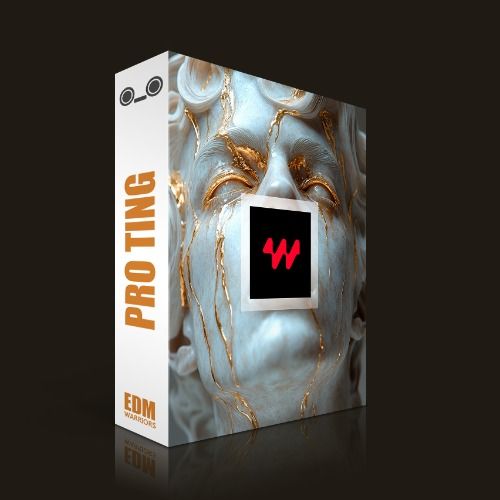 Buy EDM Ghost Production track - Pro Ting