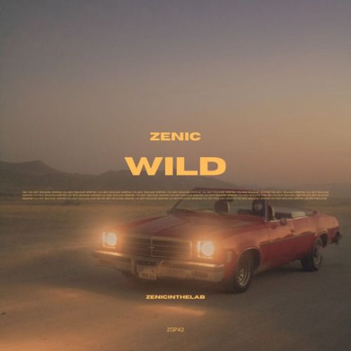 Buy EDM Ghost Production track - Wild