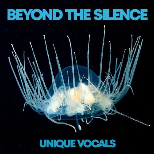 Buy EDM Ghost Production track - Beyond the Silence