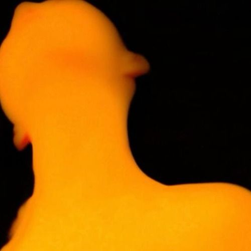 Buy EDM Ghost Production track - Bailar Magnifico