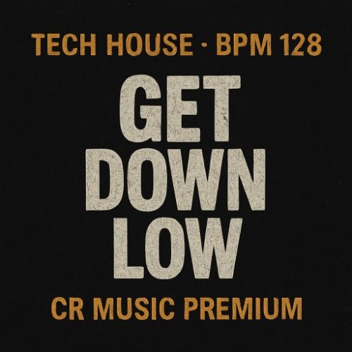 Buy EDM Ghost Production track - Get Down Low
